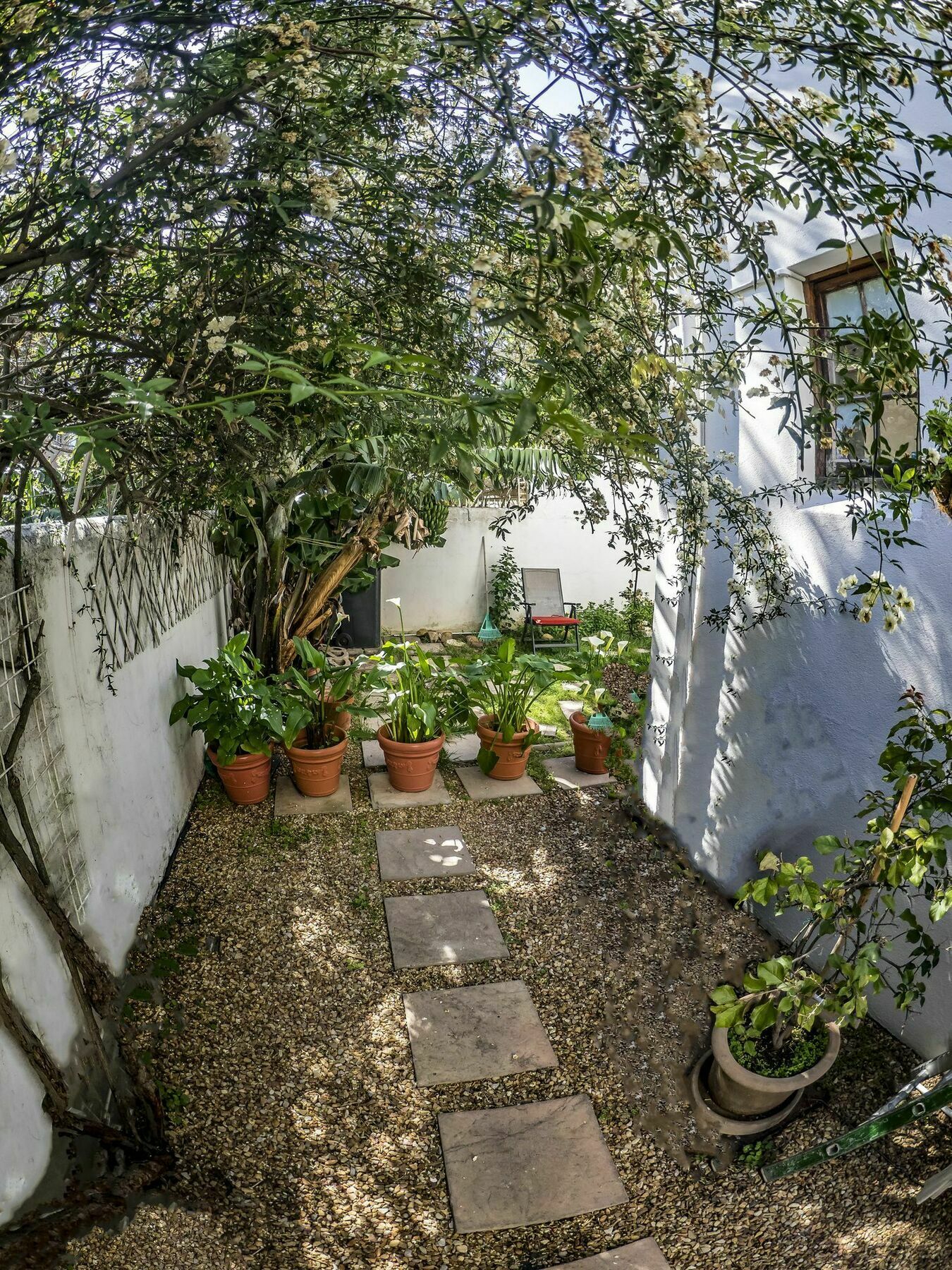 Bed and Breakfast The Vagabond Kapstadt Exterior foto